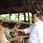 WhatsApp Image 2025 02 20 at 07.32.01