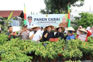 Stabilitas Harga Cabai, Inovasi Pemkab Bogor dari Kebun Hingga Pasar
