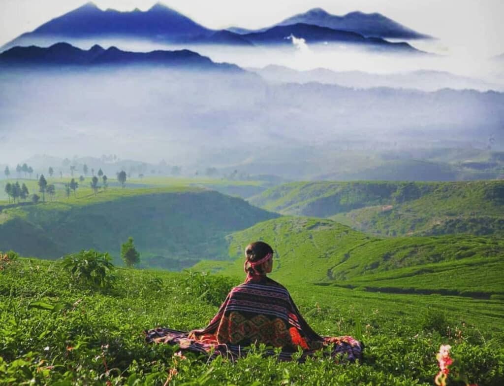Desa Kreatif Malasari: Permata Tersembunyi di Kecamatan Nanggung, Kabupaten Bogor