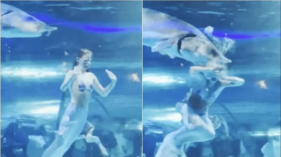 Viral Video Ikan Raksasa Kokop Kepala Putri Duyung Rusia, Buat Panik Penonton