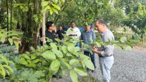 Arboretum Ayu Tirta Siapkan Lahan Penanaman untuk Peserta HPN 2025