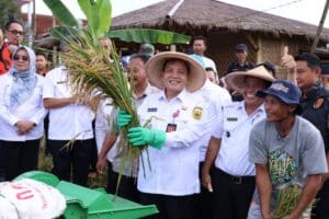 Inovasi Pertanian di Bogor, Bagaimana Teknologi dan Varietas Unggul Mampu Meningkatkan Panen hingga 330 Ton