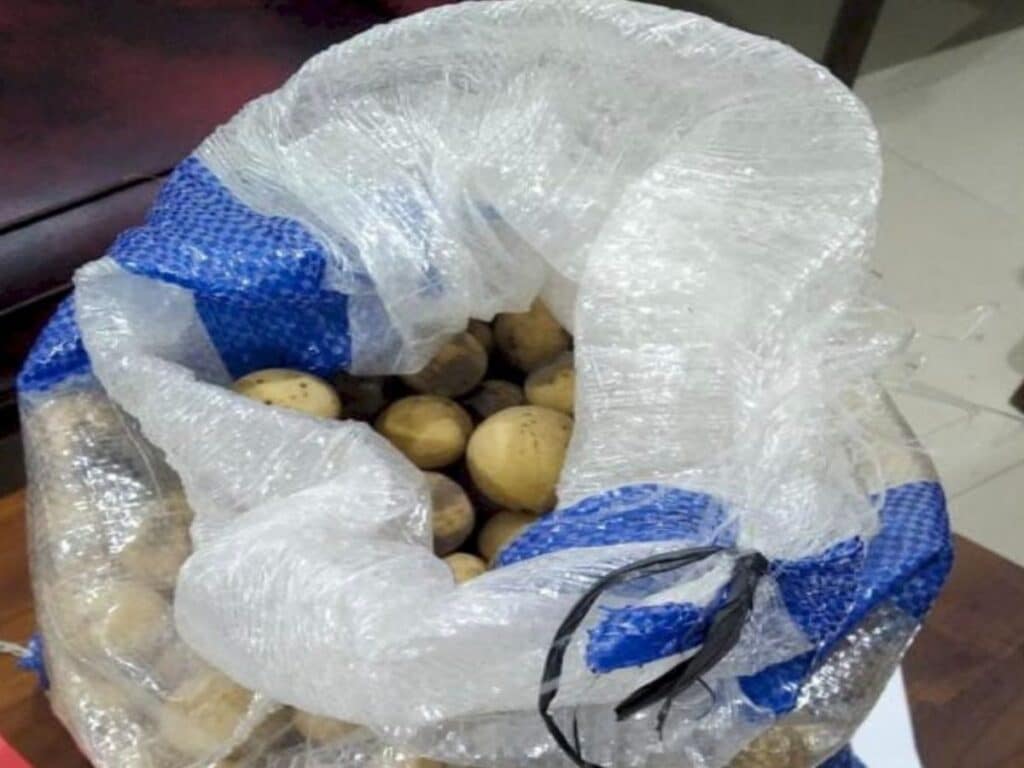 Modus Baru! Kurir Narkoba Menyimpan 832 Pil Ekstasi dalam Karung Duku