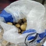 narkoba dalam karung duku