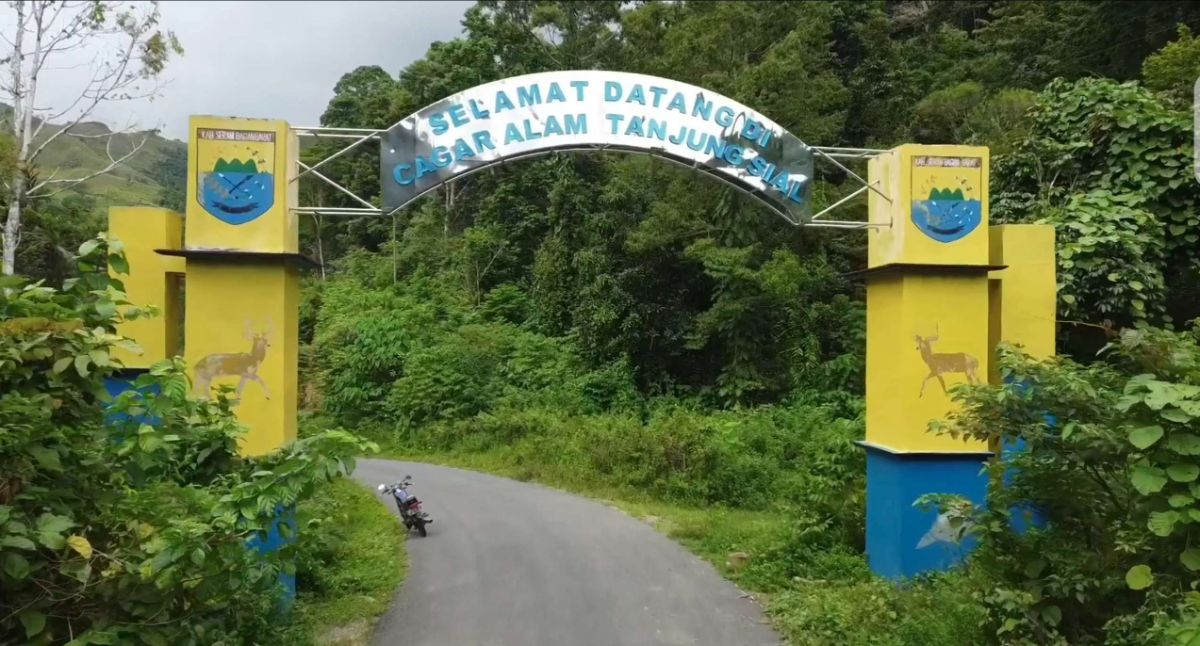 cagar alam