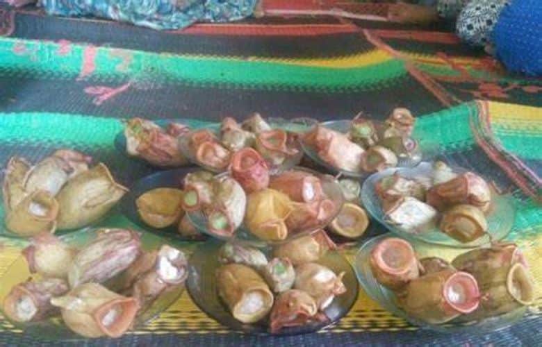 Tukik Beruk: Kue Tradisional Khas dan Unik dari Sungai Arang Merangin Jambi