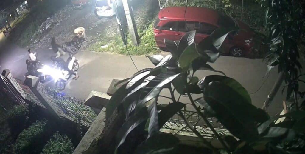 Viral, Emak-emak Jadi Korban Begal di Bekasi, Diancam Sajam dan Sepeda Motor Raib
