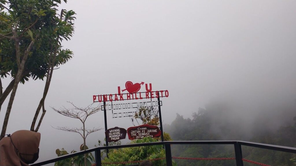 Menikmati Keindahan Kabut dan Kopi di Puncak Gunung Salak Aceh Utara