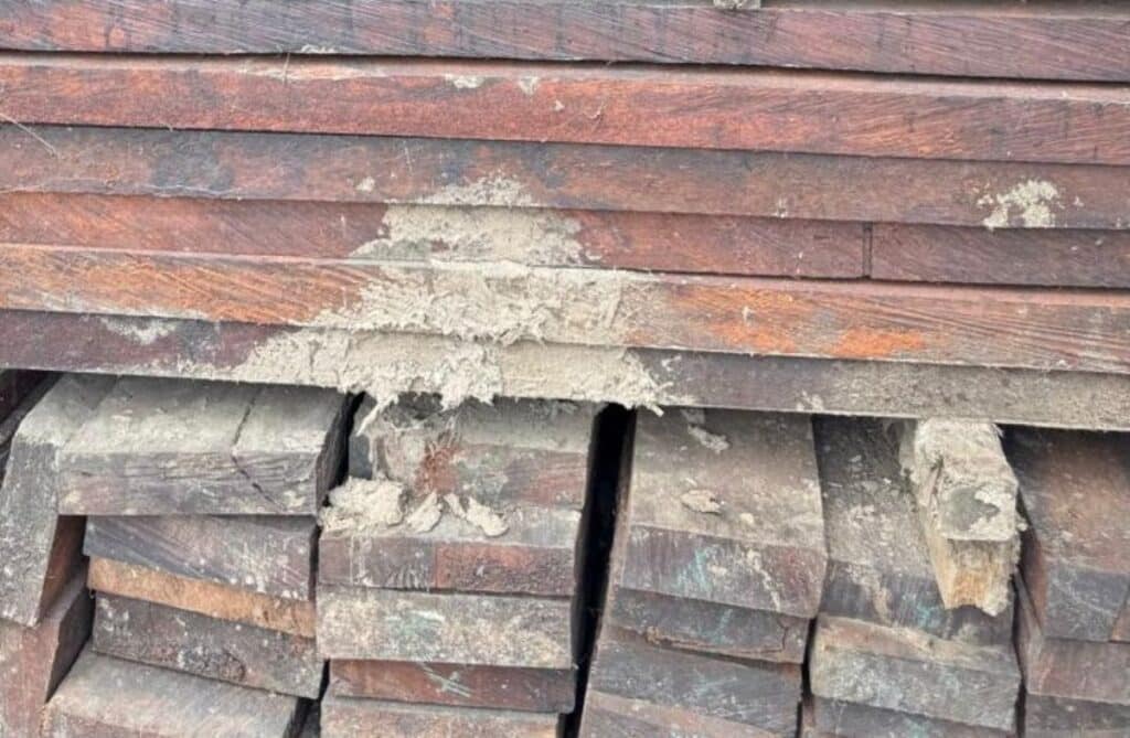 BPA Lelang Kayu Merbau Bernilai Rp4,5 M, Hasil Pembalakan Liar PT MGM dan CV EAJ