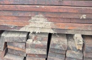 BPA Lelang Kayu Merbau Bernilai Rp4,5 M, Hasil Pembalakan Liar PT MGM dan CV EAJ