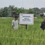 KPK sita lahan di Rorotan terkait dugaan korupsi pengadaan rumah dp 0. (Ist)