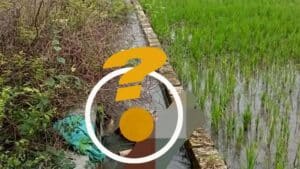 Mayat Mutilasi di Saluran Irigasi, Diyakini Sebagai Agus Salah Warga Jatirejo Diwek Jombang