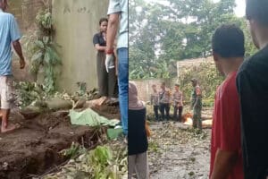 Geger! Penemuan Jasad Bayi di Jember, Ditemukan Pertama Kali oleh Tukang