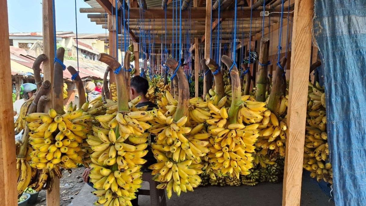 Sentra Pisang di Pasar Anyar Bogor (KIS/IST)