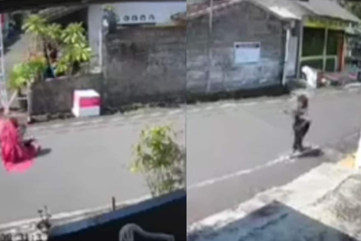 serangan tawon
