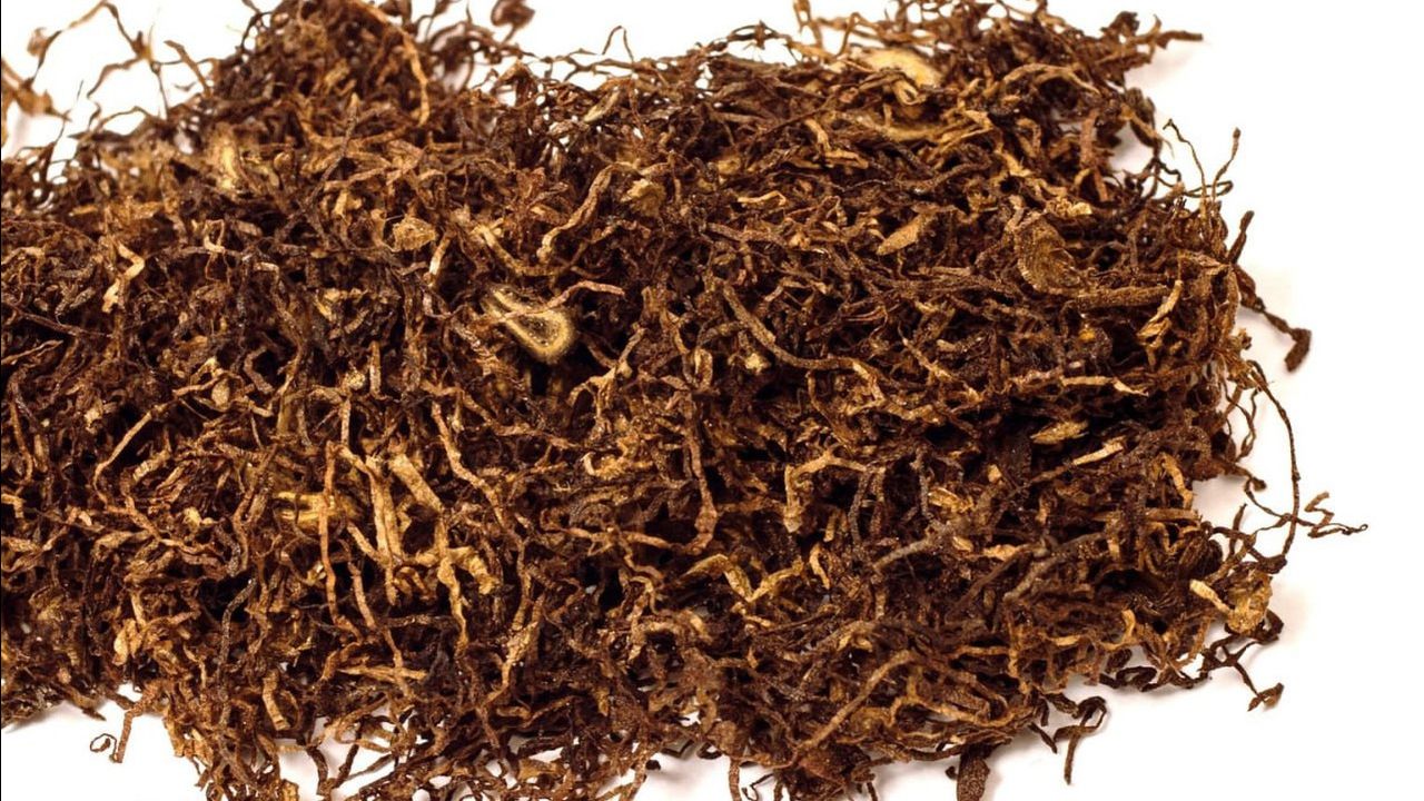 Ilustrasi narkoba jenis tembakau sintetis yang diproduksi di Sentul, Bogor, Jawa Barat. (Ist)