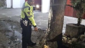 Boncengan Bertiga Pelajar Jember Diduga Mabok Jadi Korban Motornya Menghantam Pohon