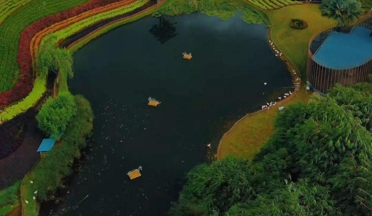 Kawasan Flower Garden Vimala Hills dilihat dari atas (IG@fais_channel)