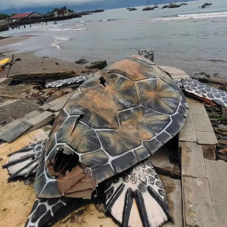 481105402 29644753691790872 6987979129312107568 n