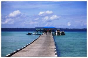 Pesona Alam Teluk Sulaiman: Perpaduan Laut Biru, Hutan Bakau, dan Sunset