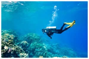 Spot Menyelam Terbaik di Indonesia, dari Raja Ampat hingga Pulau Weh