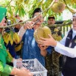 durian jatim