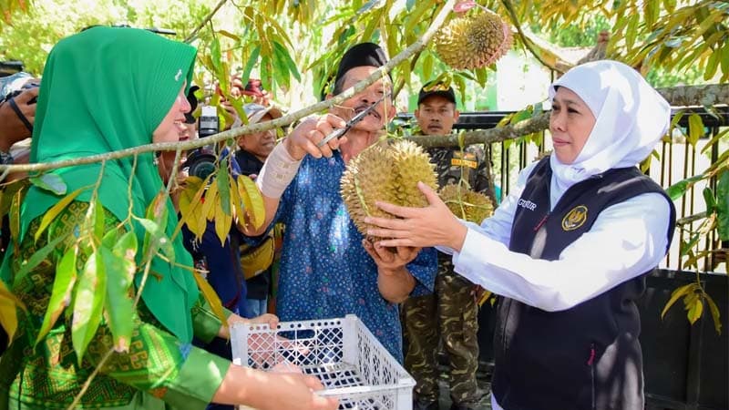 durian jatim