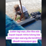 Seorang Ayah Rela Bersihkan Rumput dengan Bayaran Seikhlasnya (TikTok/janjansiantar)
