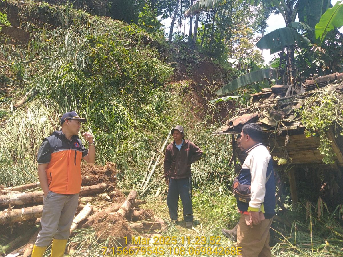 image 2025 03 01T145625.981