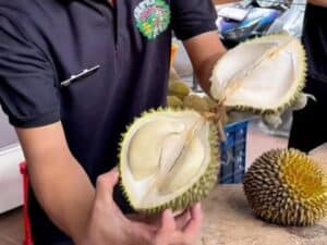 Sensasi Bukber yang Menggugah Selera di Kota Hujan, Rasakan Juga Surga Durian yang Menawan