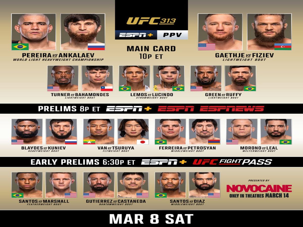 UFC 313