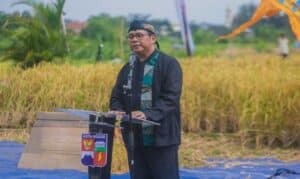 Bogor Beradaptasi, Optimalkan Lahan Pertanian, Pemudahan Akses Pupuk di Tengah Kenaikan Harga Bahan Pangan 