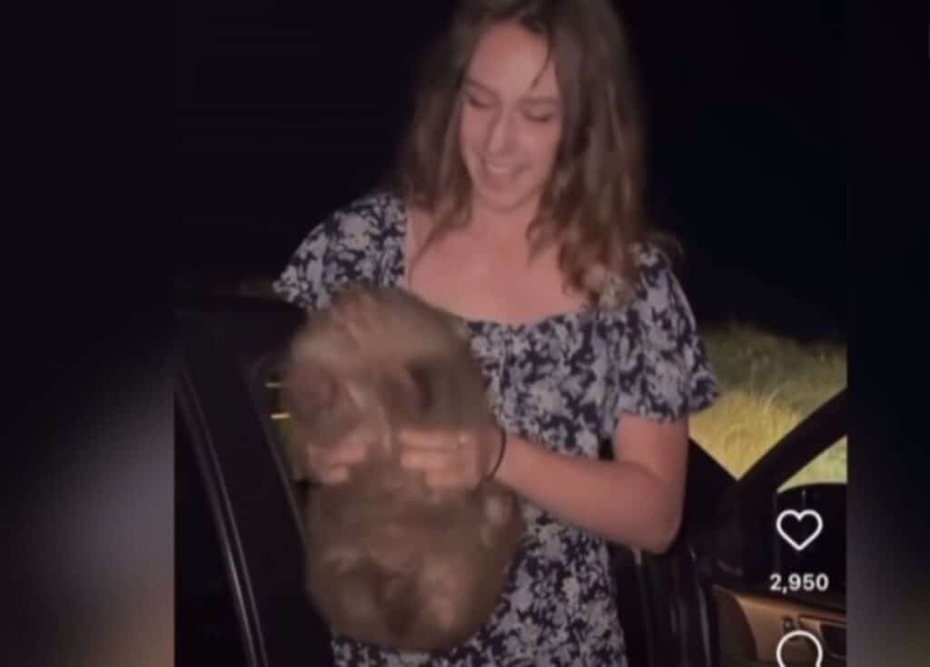 Influencer AS yang Merebut Bayi Wombat Akhirnya Tinggalkan Australia setelah Menyulut Kemarahan