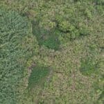 ladang ganja di bromo