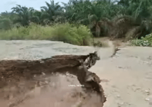 VIRAL! Detik-detik Jalan di Perkebunan Sawit Riau Tiba-tiba Ambles, 2 Pengendara Mobil Nyaris Jadi Korban