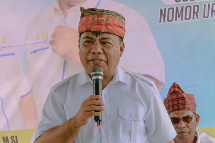 Profil Piet Hein Babua Bupati Halmahera Utara Terpilih yang Segera Dilantik, Lengkap Harta Kekayaan