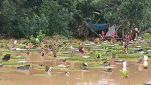 1.200 Makam di TPU Jatisari Terendam Banjir Akibat Luapan Kali Bekasi