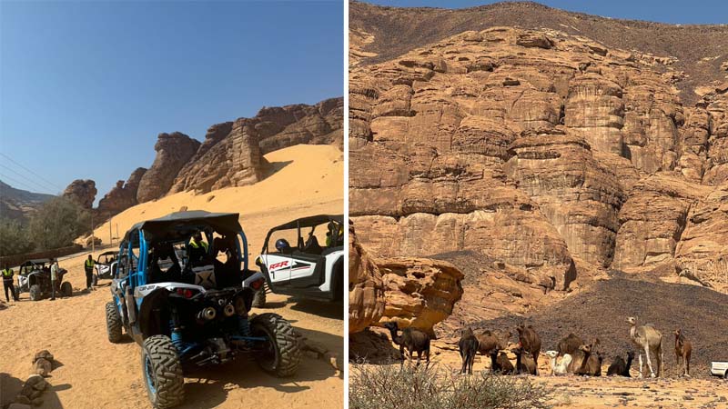 Menikmati Petualangan Mendebarkan di Lembah Burung Unta Arab Saudi