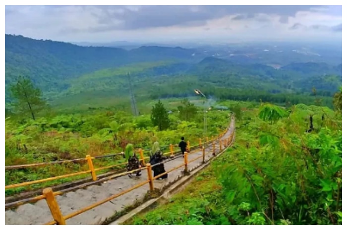 Jejak Letusan dan Wisata Hutan Gunung Galunggung
