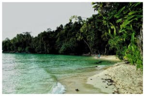 Menikmati Keindahan Pantai Patawana, Destinasi Eksotis di Fakfak