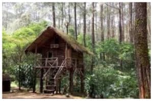 Taman Buru Batu Putih: Destinasi Berkemah dan Berburu Legal di Berau