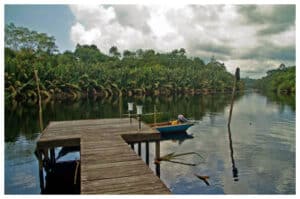 Eksplorasi Taman Nasional Berbak: Habitat Langka di Sumatra
