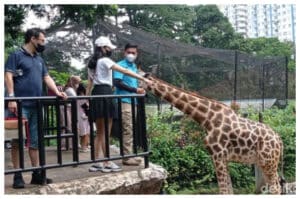 Lonjakan Wisatawan di Bandung, Wali Kota: Tolong Jaga Kebersihan!