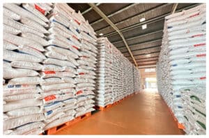 Tertinggi dalam 23 Tahun, Indonesia Surplus Beras di Tengah Krisis Pangan Global