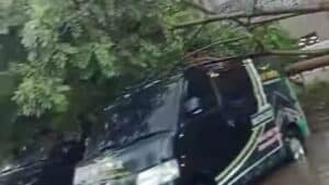 Puting Beliung Sapu Parkiran Bandara Juanda Sejumlah Pohon Tumbang Menimpa Mobil di Parkiran