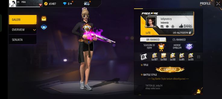 Login 11 Akun FF Sultan Gratis Hari Ini 17 April 2025 Ada M1887 SG2 OPM Full Premium