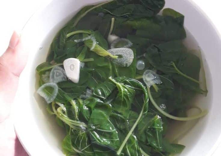 Makanan yang Tepat untuk Pemulihan Penderita Demam Berdarah