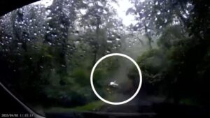 VIRAL! Detik-detik Tanah Longsor di Jalur Pacet Mojokerto yang Terekam Dashcam, 2 Mobil Terjun ke Jurang