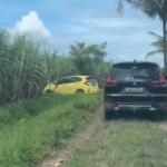 Video Pengendara Mobil Nyasar ke Sawah Gegara Google Maps (tiktok.com/@mamiazka9)