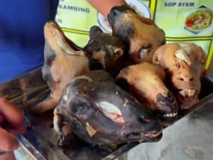 Nikmati Kelezatan Sop Kepala Kambing di Soto Kang Maman, Puncak-Cianjur